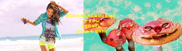 спайс Кодинск