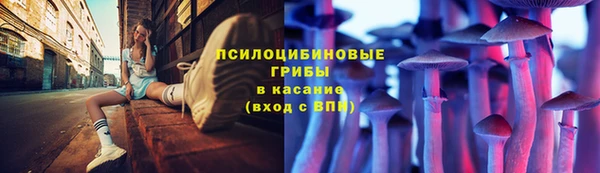 спайс Кодинск
