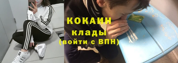 соль ск Козельск