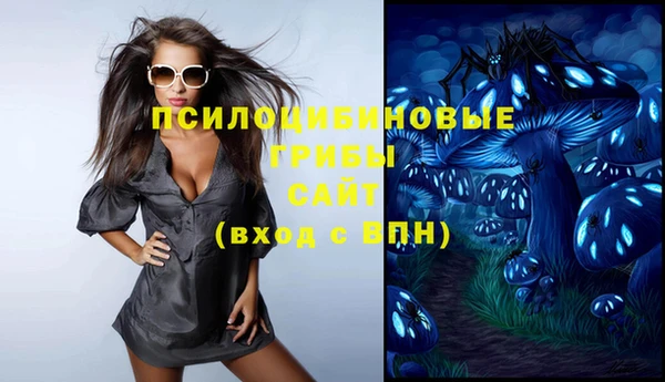 соль ск Козельск