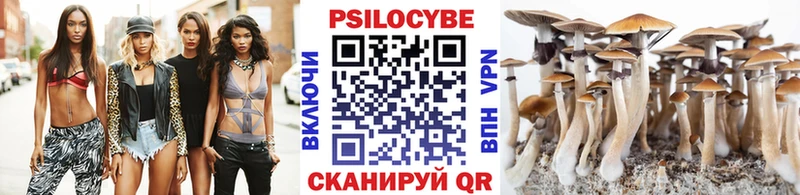 Купить  Ухта  Галлюциногенные грибы Cubensis 
